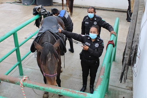 Caballería de Chimalhuacán brinda seguridad | El vistazo a la noticia